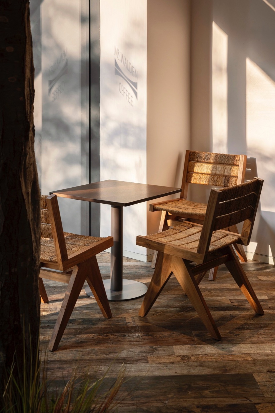 mr walden coffee by pure wild studio