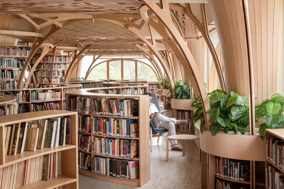 the forest of knowledge by studio hinge