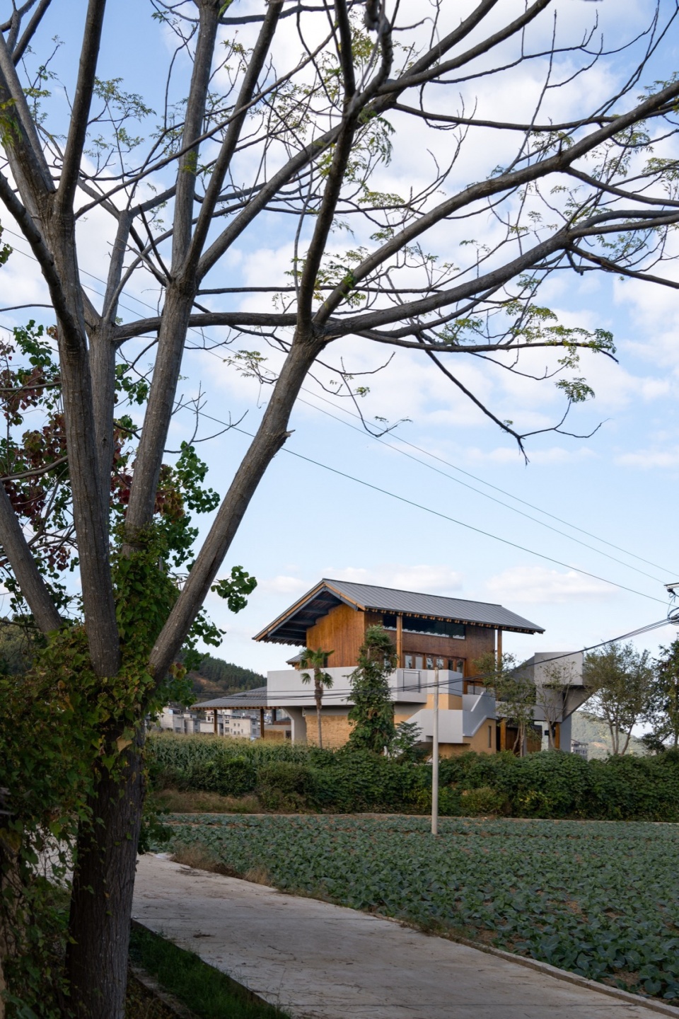 dongyou corn courier station by suipingyili architecture studio