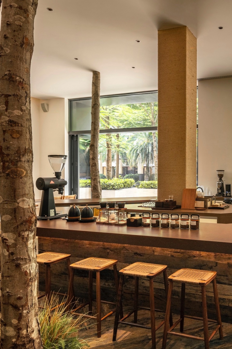 mr walden coffee by pure wild studio