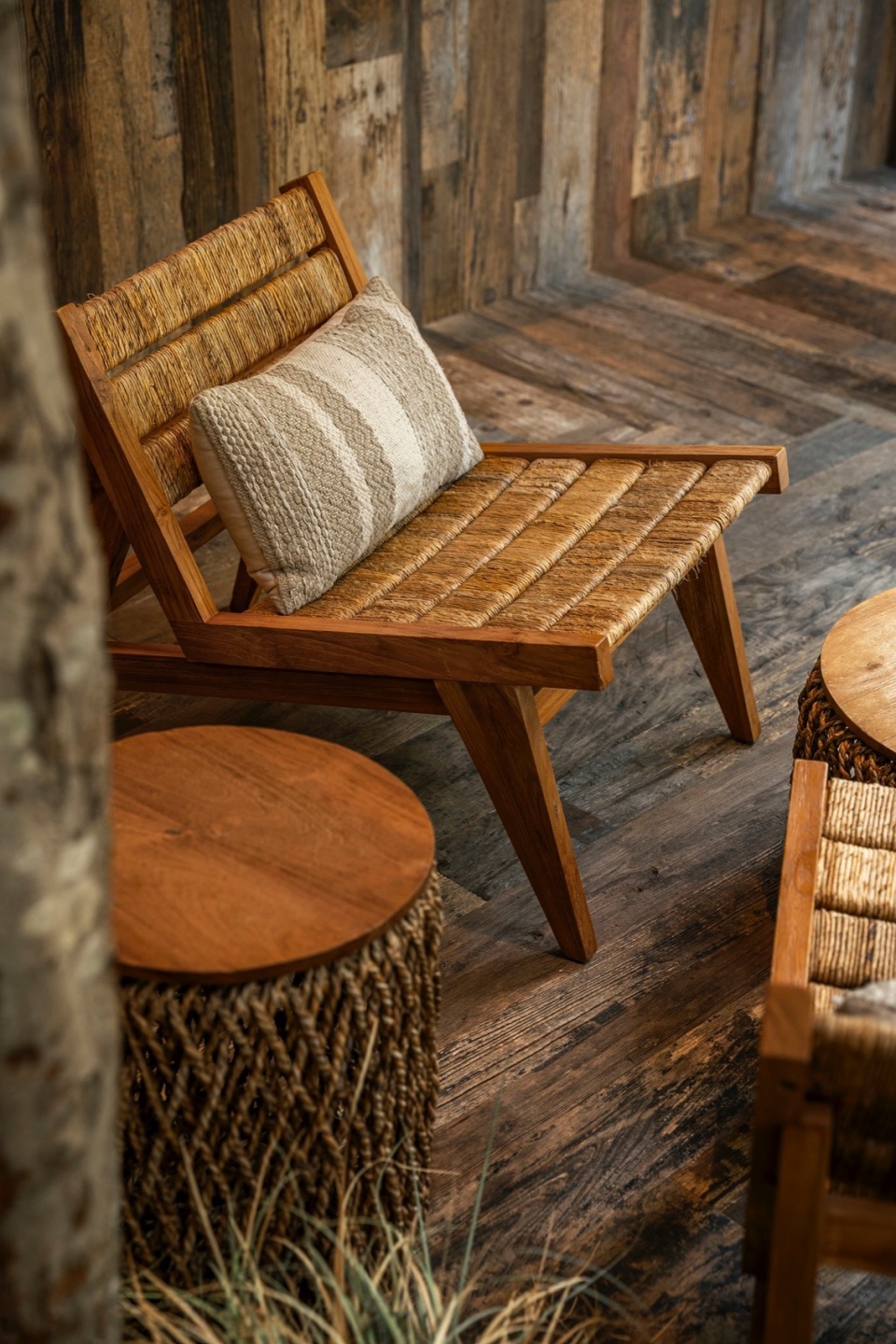 mr walden coffee by pure wild studio