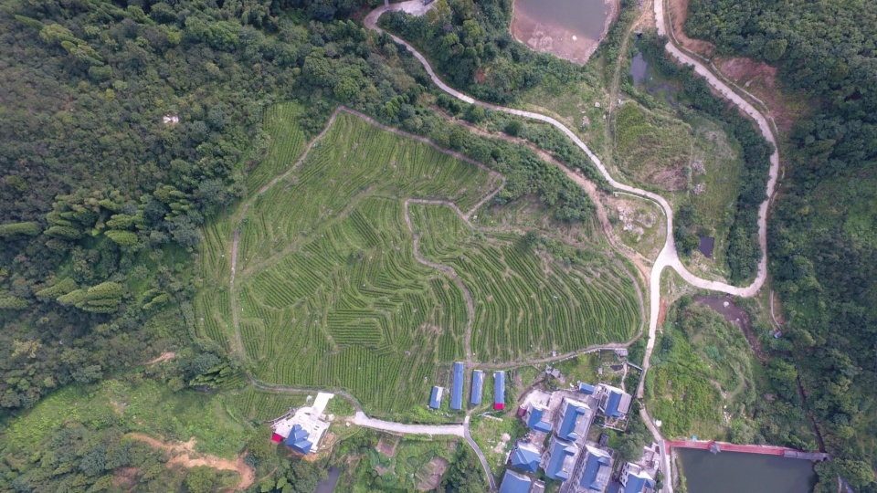 Huangzhuling Tea Fields Hotel in Ji’an