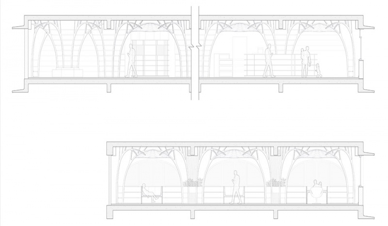 the forest of knowledge by studio hinge