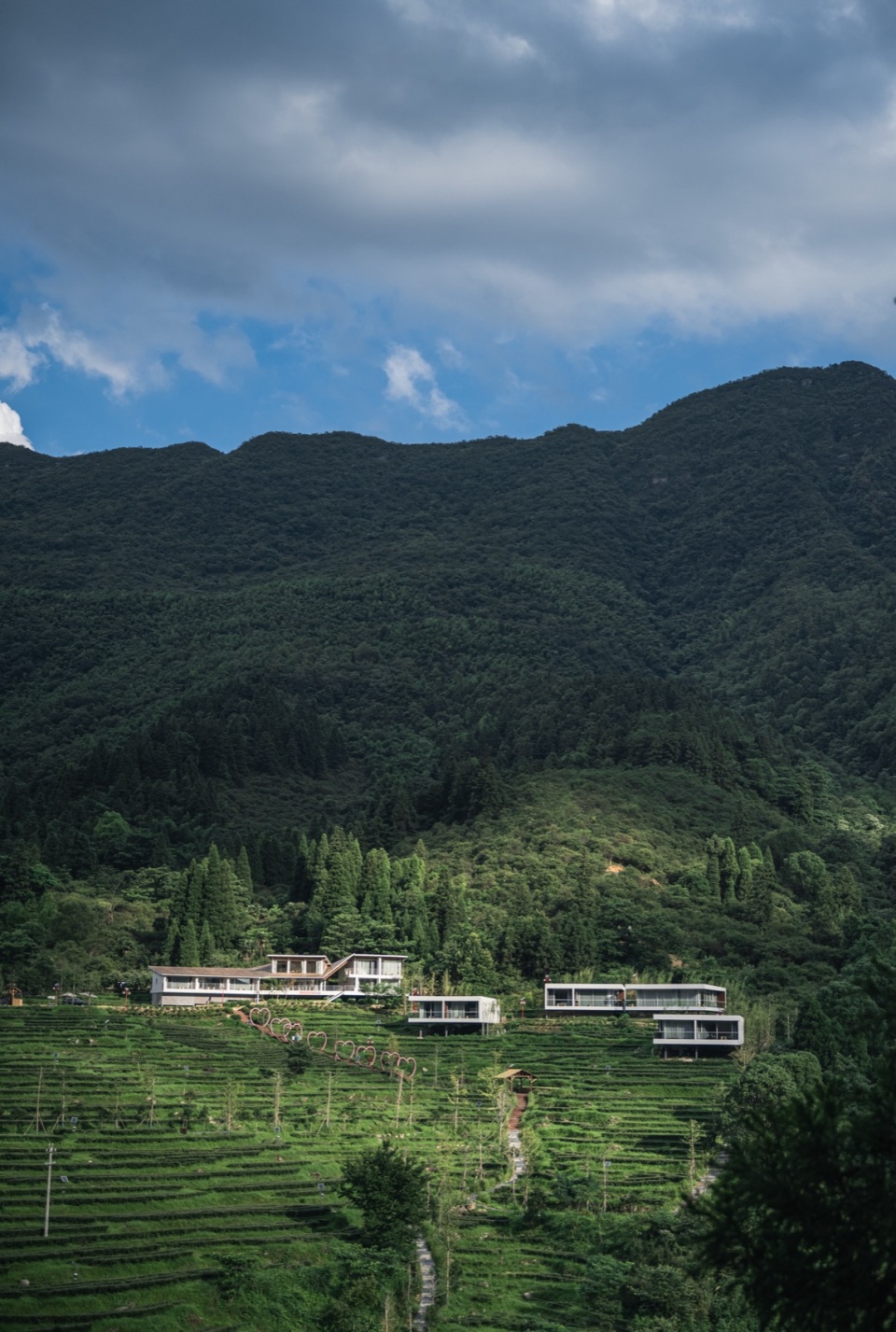 Huangzhuling Tea Fields Hotel in Ji’an