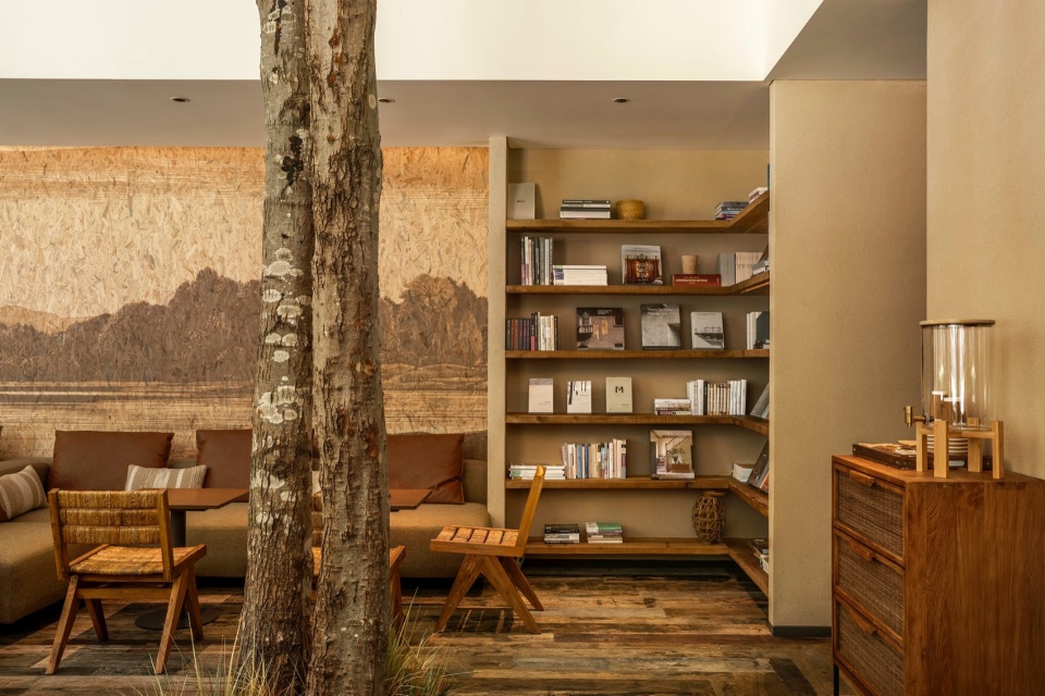 mr walden coffee by pure wild studio