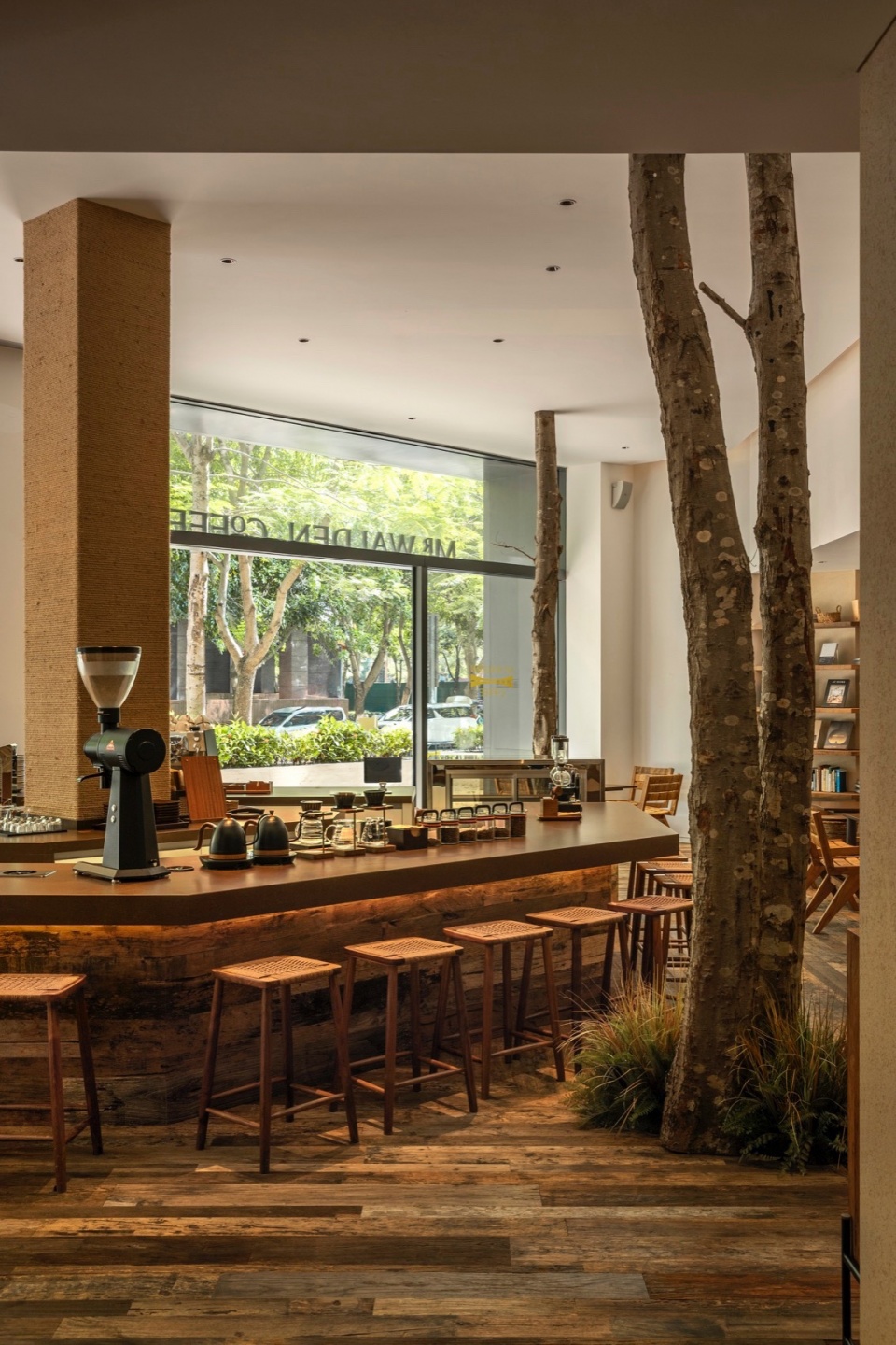 mr walden coffee by pure wild studio