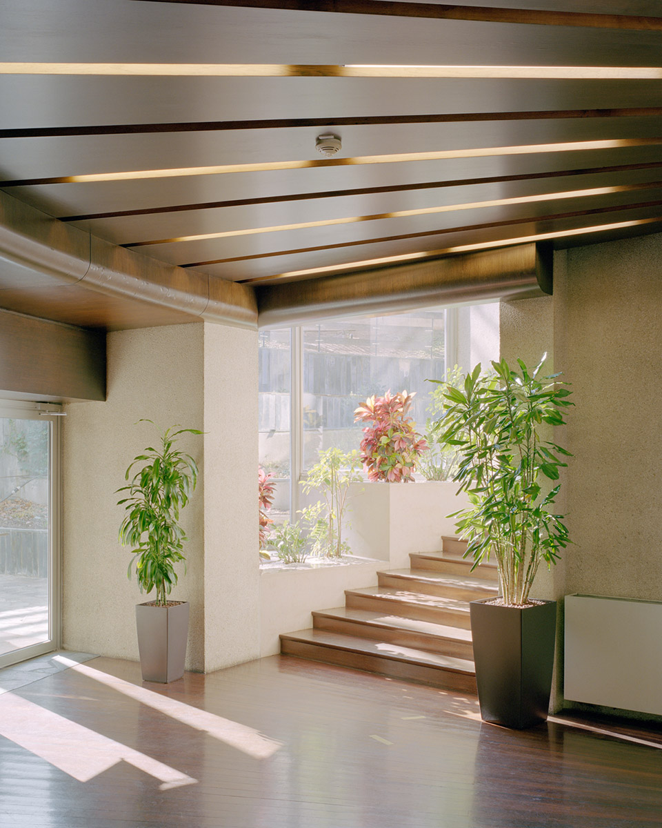 racine tower by maud caubet architectes