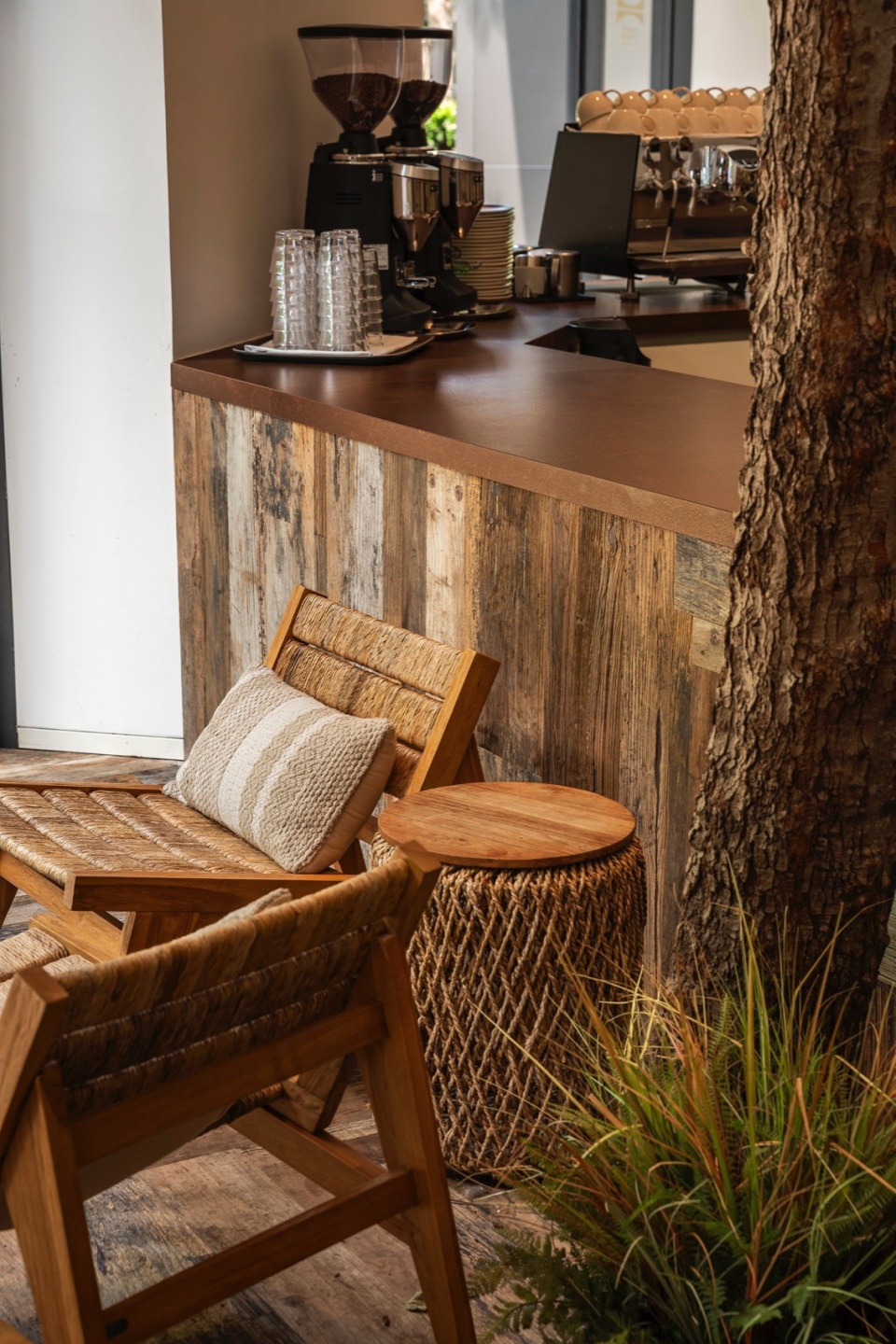 mr walden coffee by pure wild studio