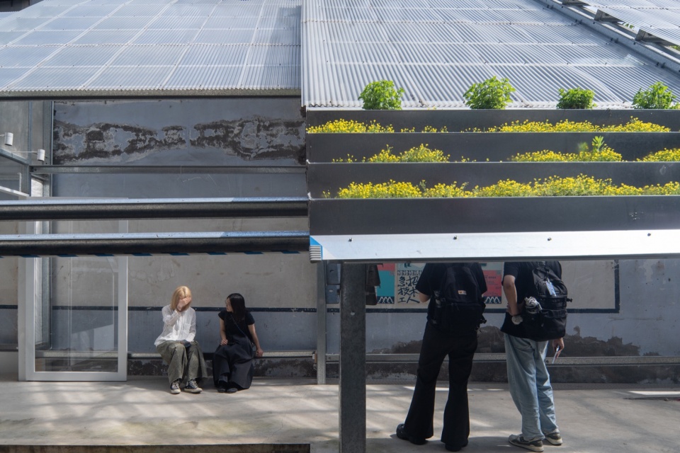 Roof Garden cacp designing