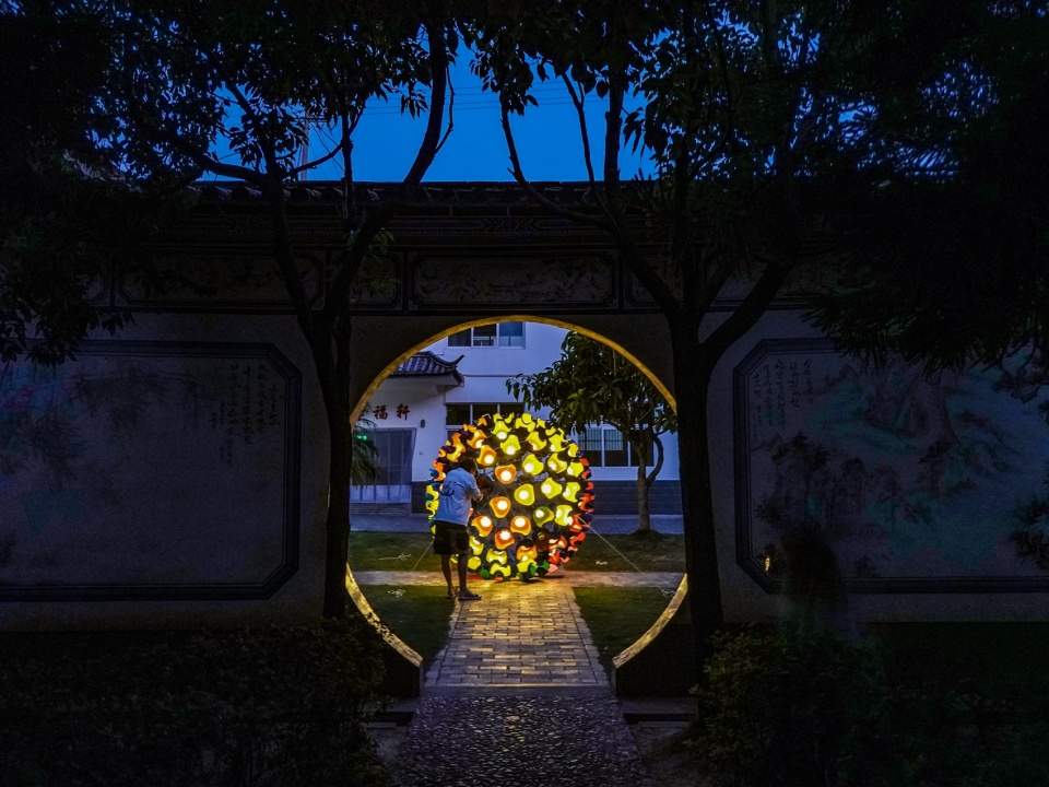 Bubble Dandelion 17