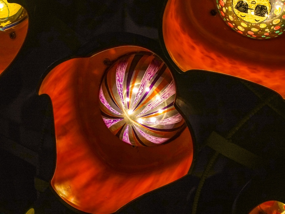 Bubble Dandelion 8