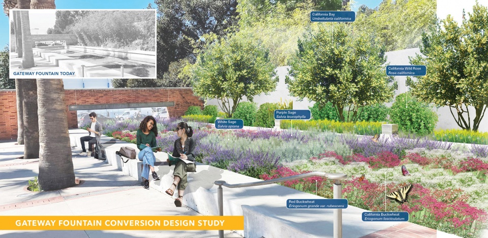 UCLA Images 2024 ASLA National Award14