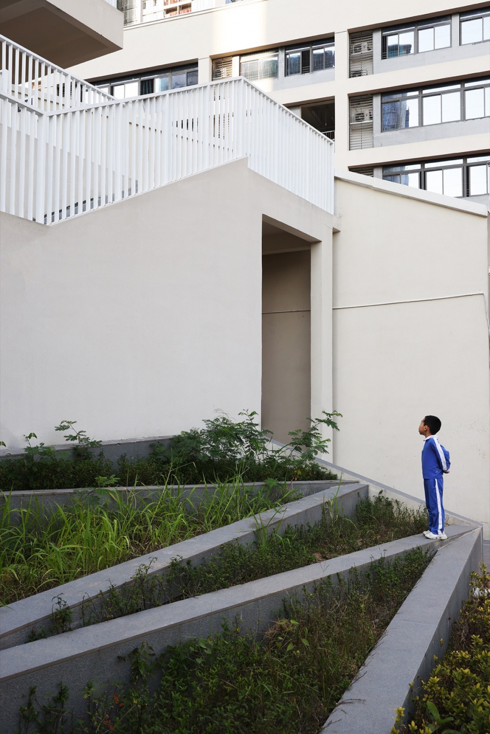 花坛一角 shenzhen longhua district qingquan foreign language junior school