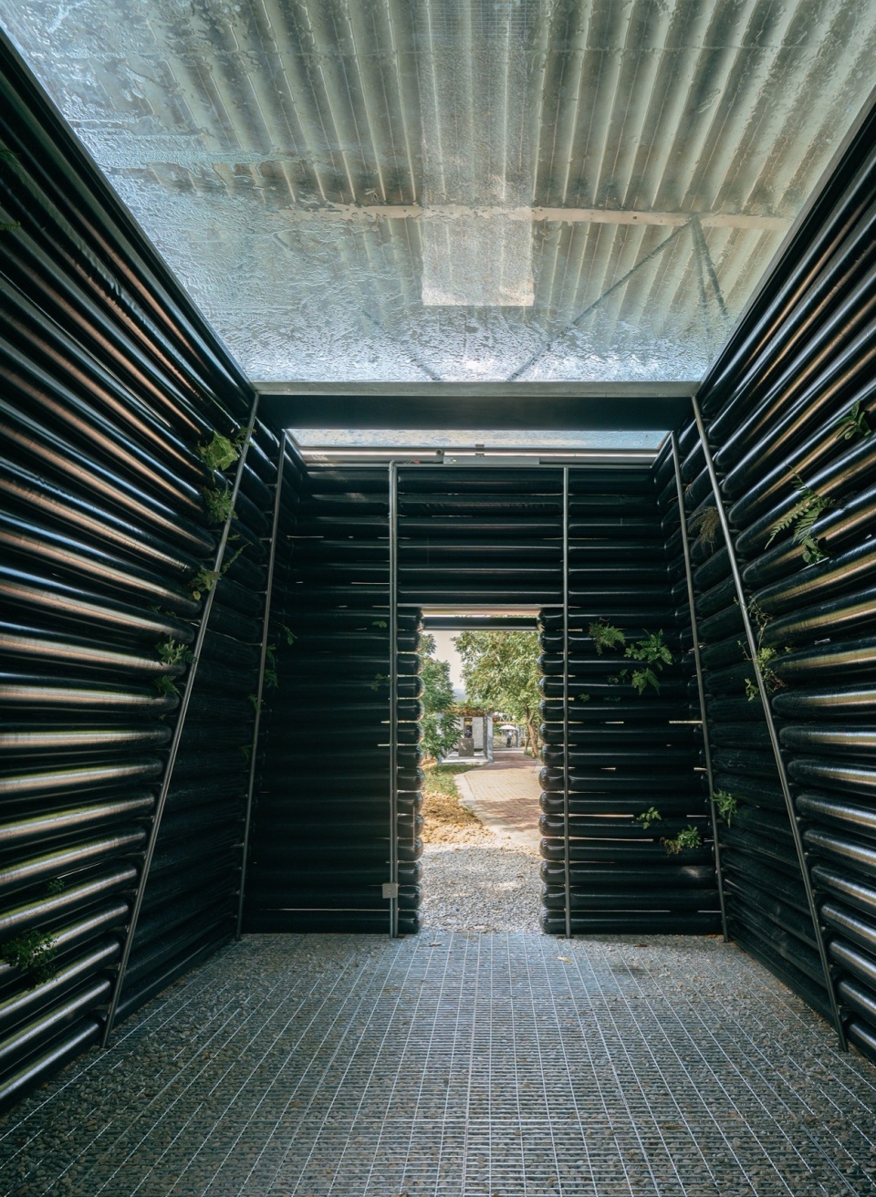 野草博物馆Wild Grass Museum©Yumeng Zhu 2