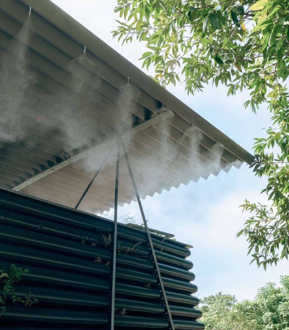 野草博物馆Wild Grass Museum©Yumeng Zhu 3