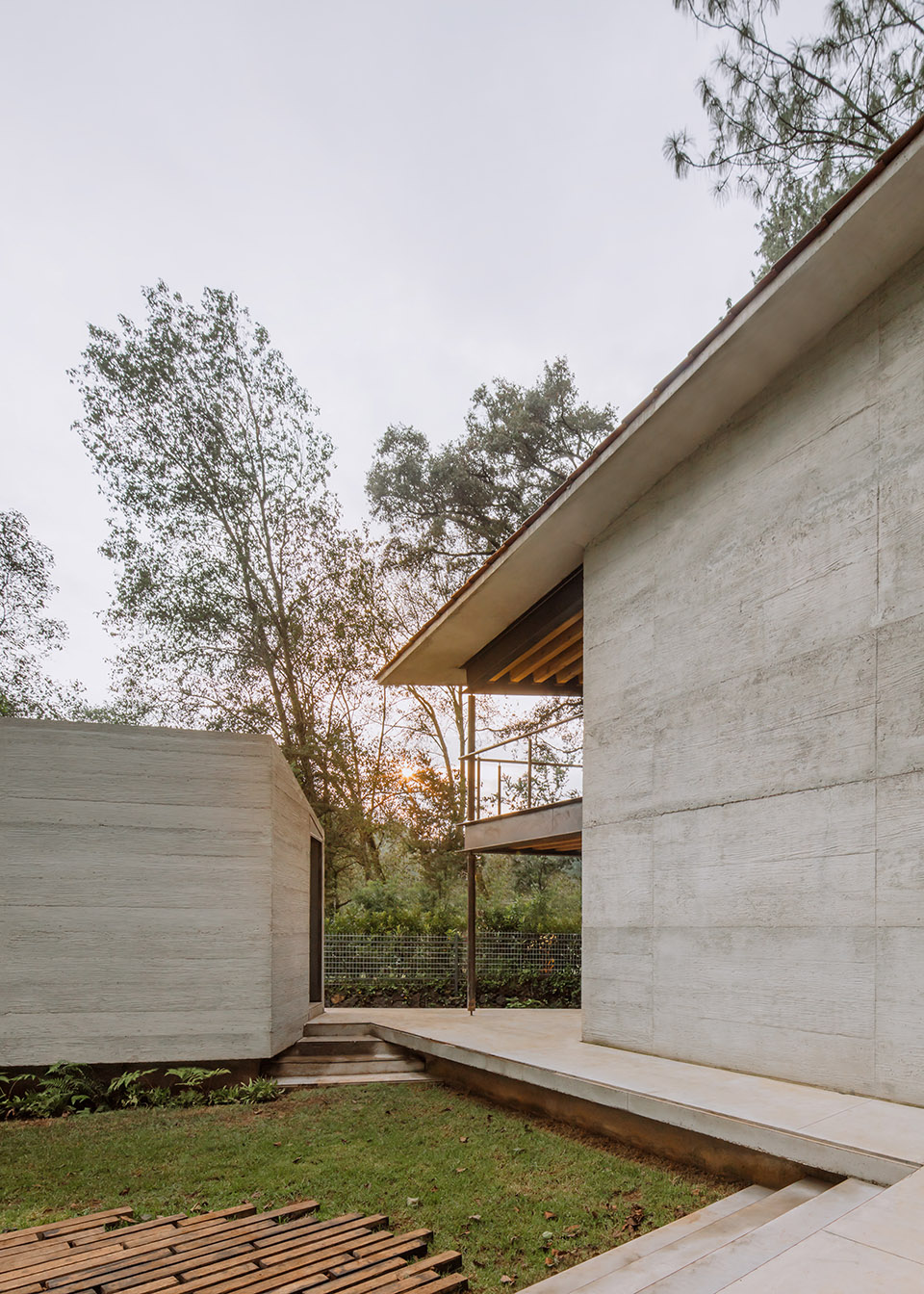 the house of the tall trees by 1i arquitectura