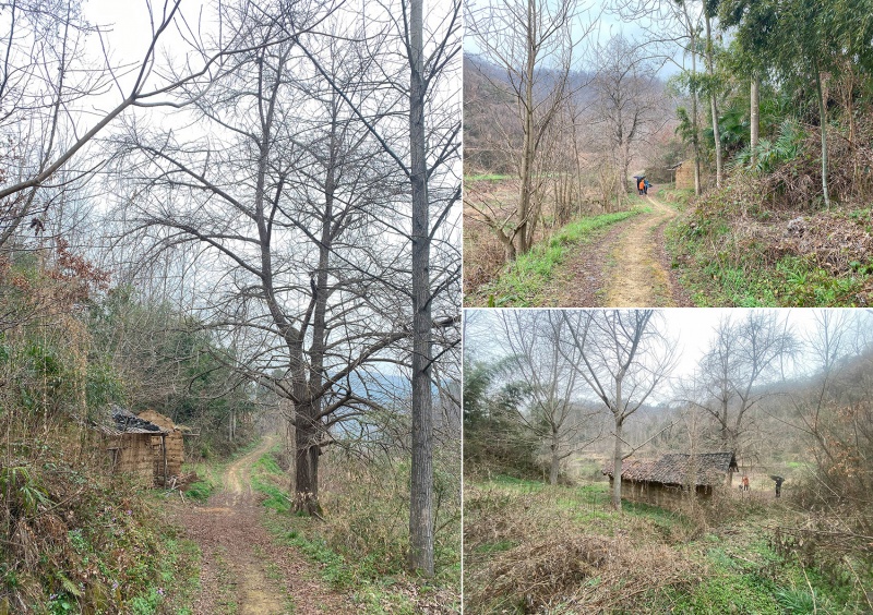 the treehouse mask in the forest by moguang studio