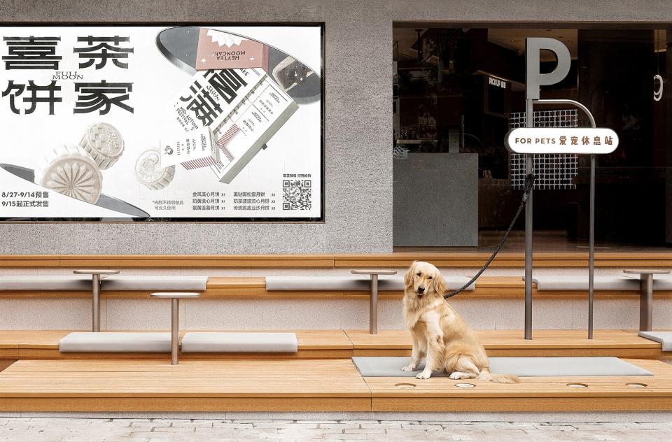 companion heytea pet friendly theme store china by und design studio