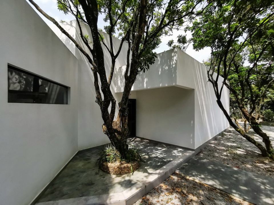 courtyard under longan trees by spacework architects
