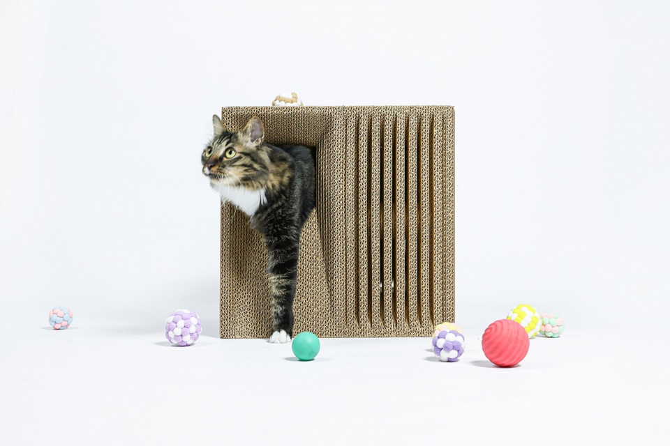 cat cubic series by lei du