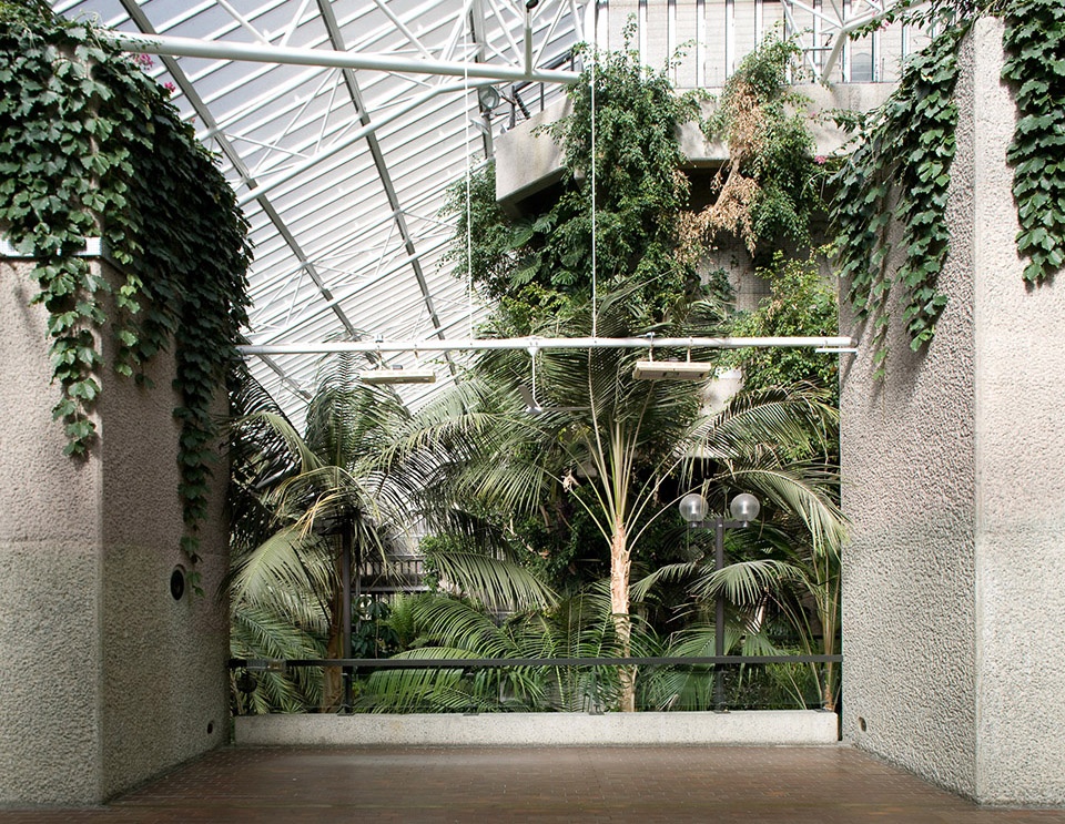 Barbican Conservatory Luke Hayes