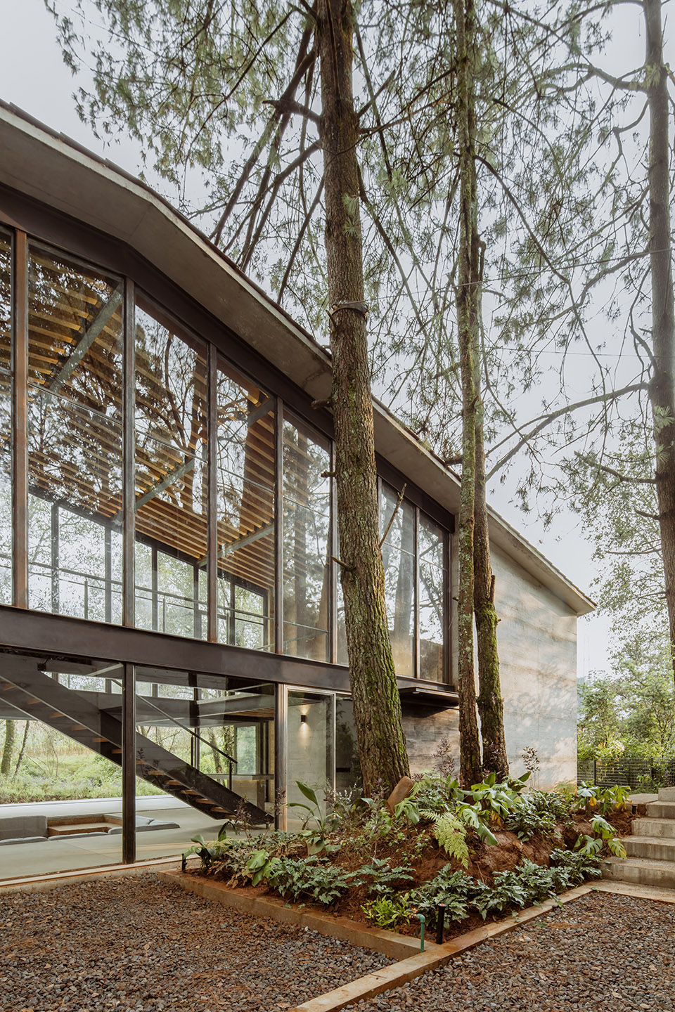 the house of the tall trees by 1i arquitectura