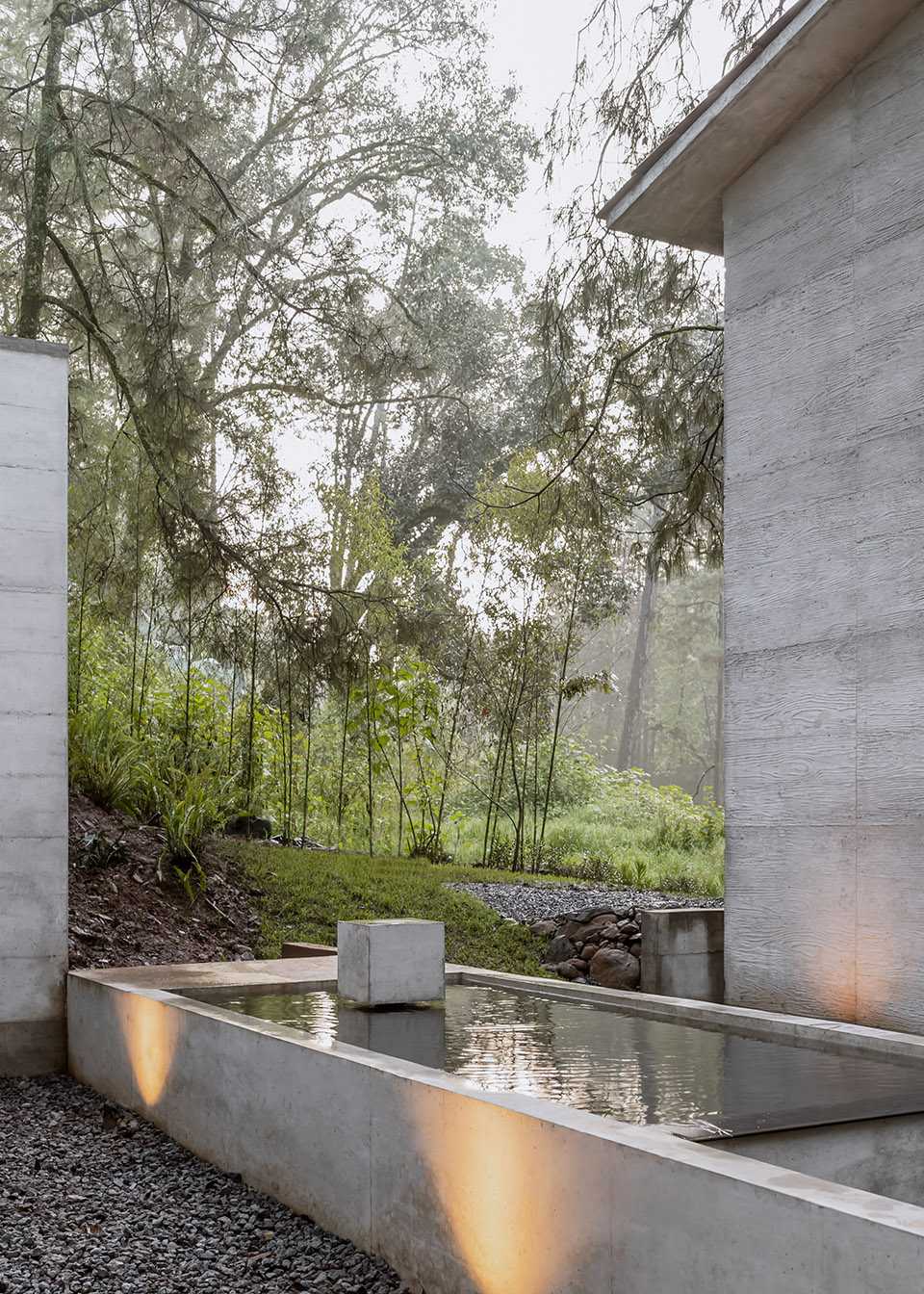 the house of the tall trees by 1i arquitectura