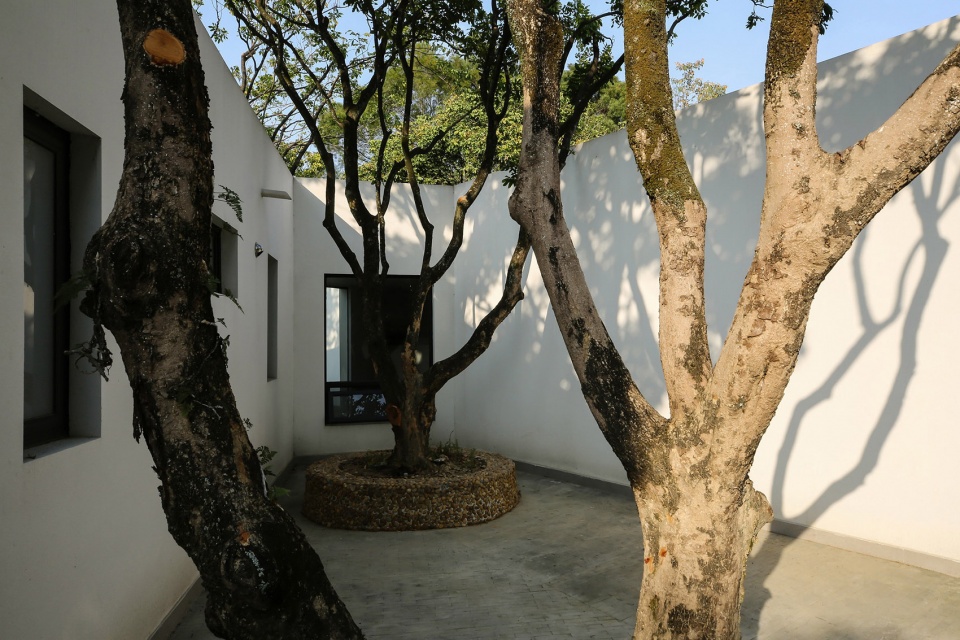 courtyard under longan trees by spacework architects