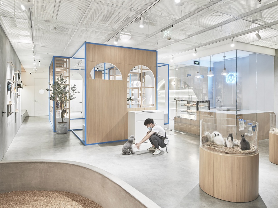 noblepets store china by nazodesign studio