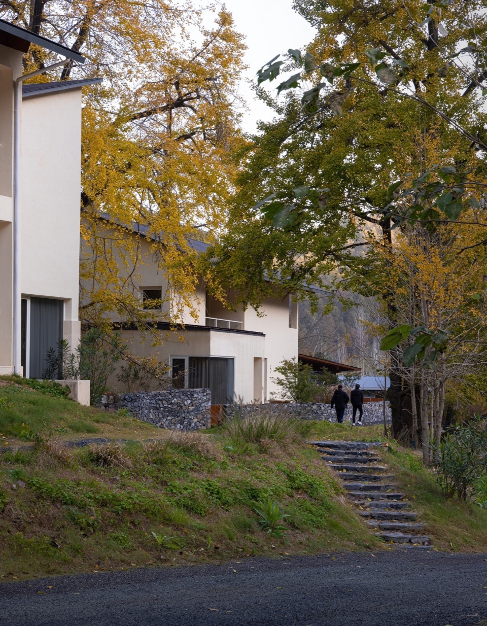 Ginkgo Valley Design Hotel