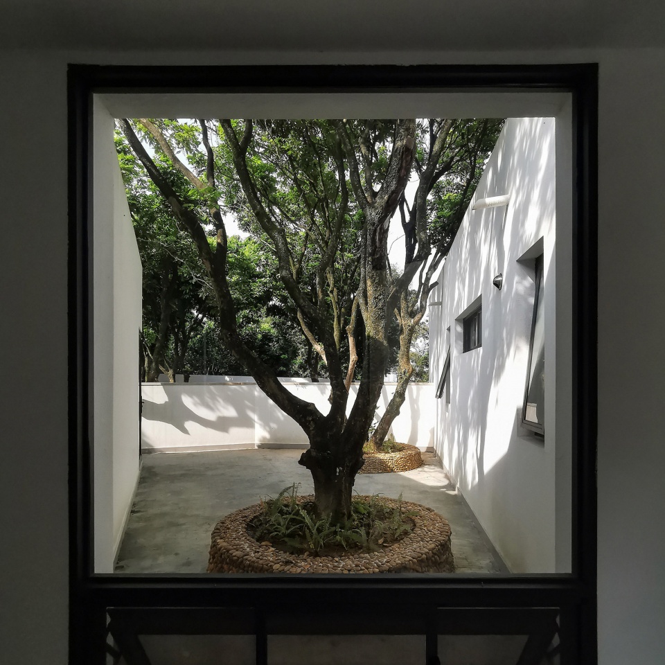 courtyard under longan trees by spacework architects