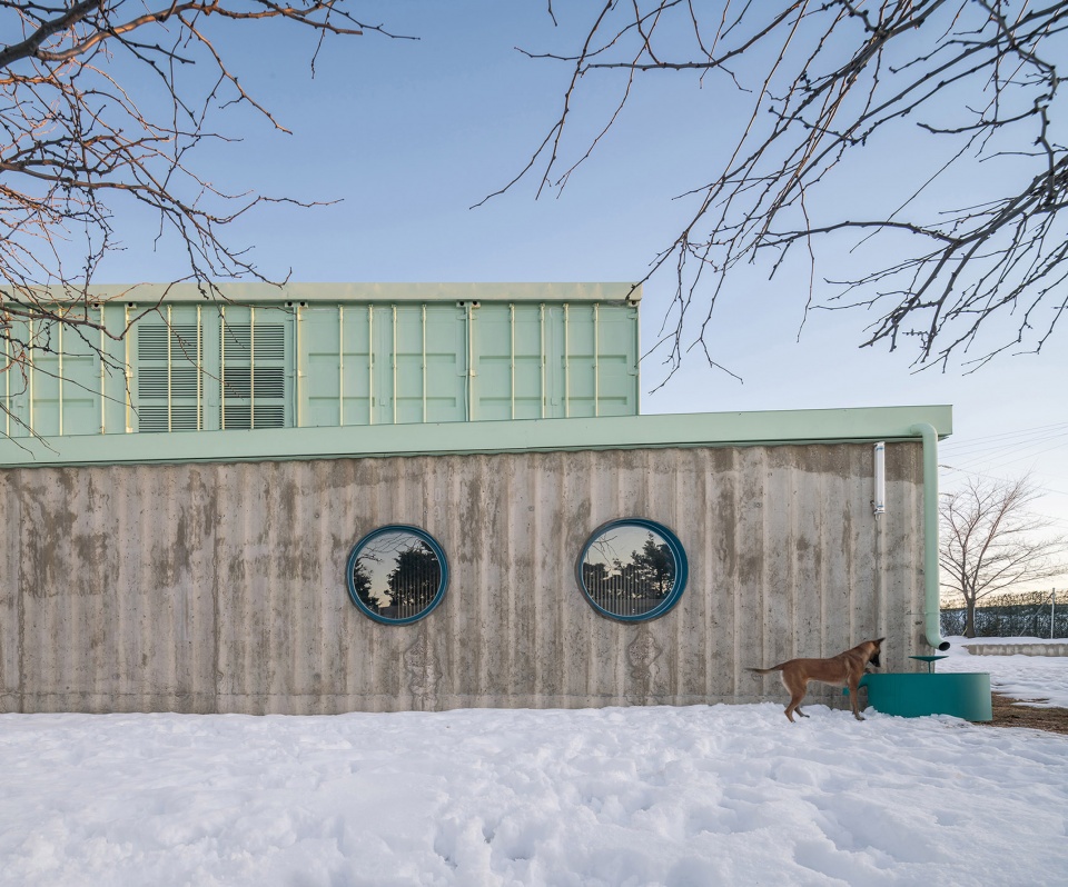 educan school for dogs humans and other species by eeestudio lys villalba