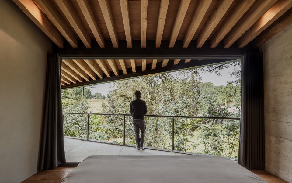 the house of the tall trees by 1i arquitectura