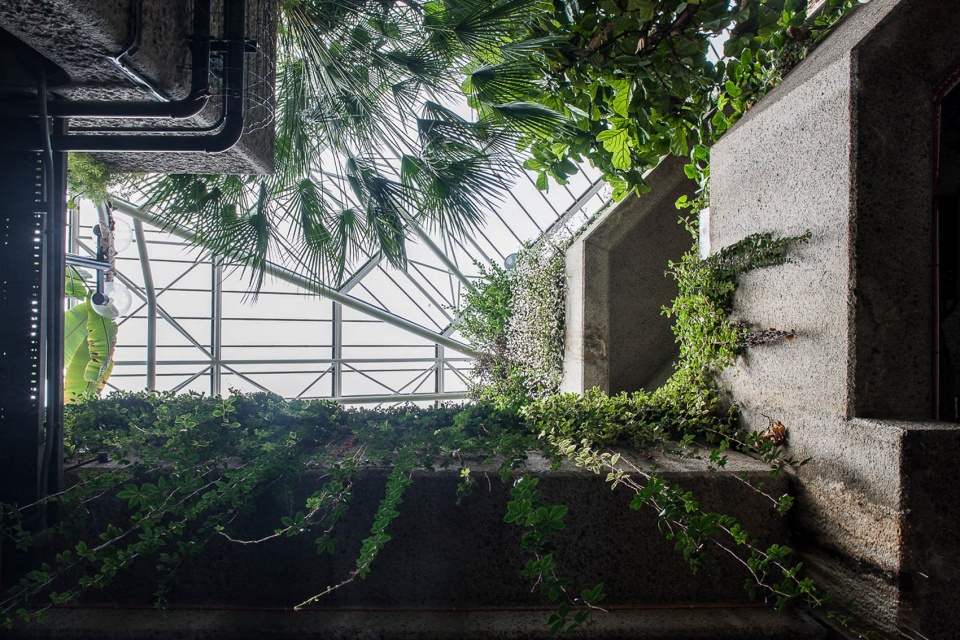 Barbican Conservatory Luke Hayes
