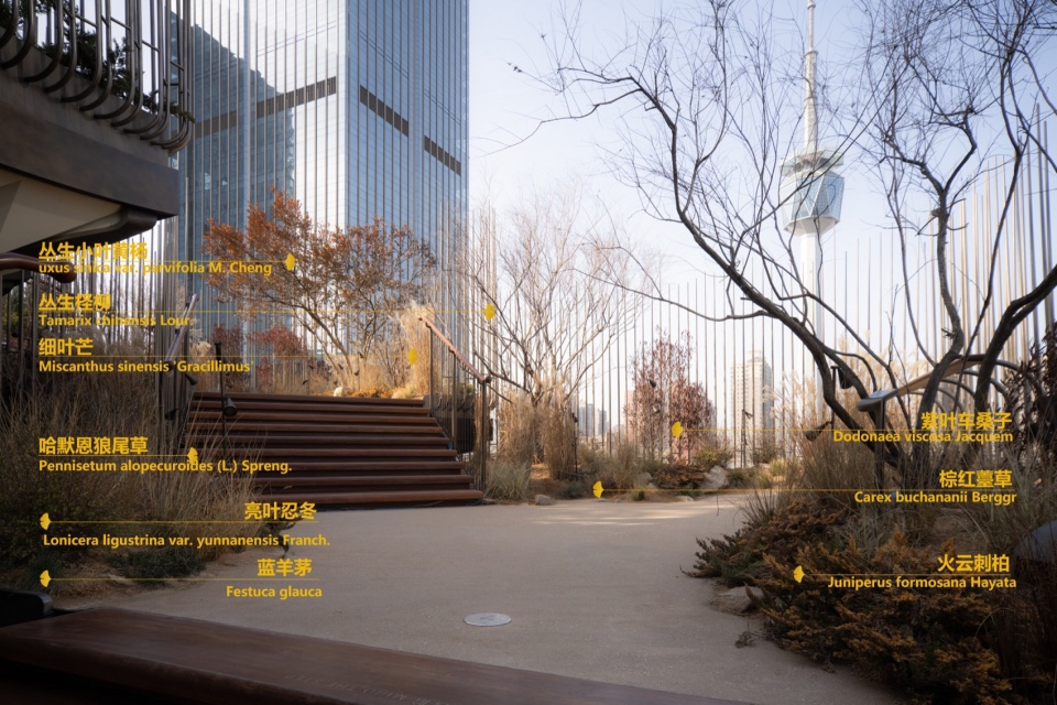 Xi an tree of the Mix city Xi an CR LAND by WTD GROUP