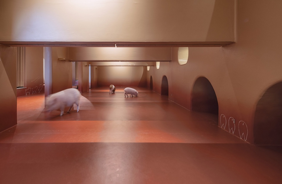 pignic cafe yoyogi park by kamitopen