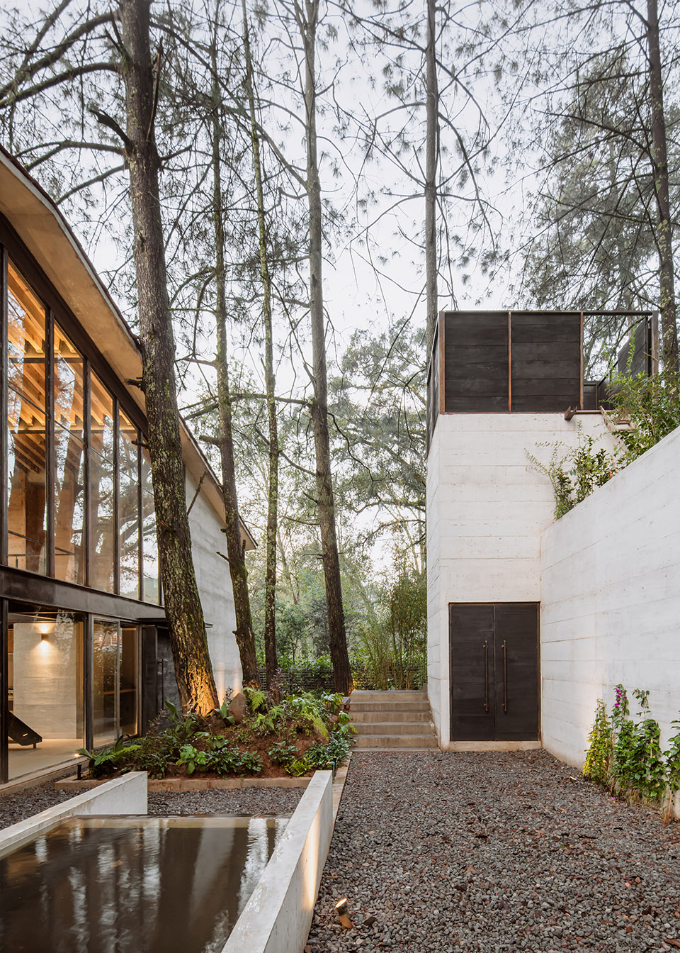 the house of the tall trees by 1i arquitectura