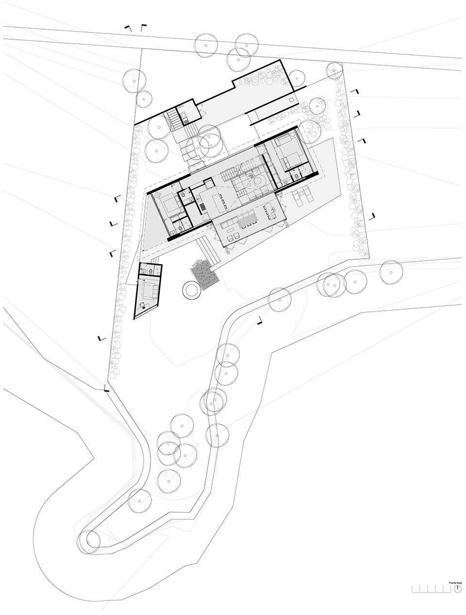 the house of the tall trees by 1i arquitectura