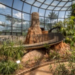 gooood合辑: 温室植物园