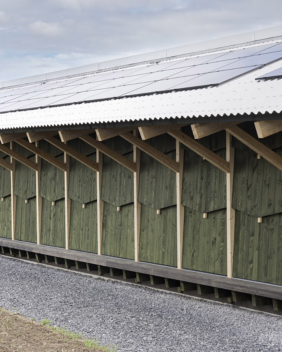 daillens sports facility by local architecture