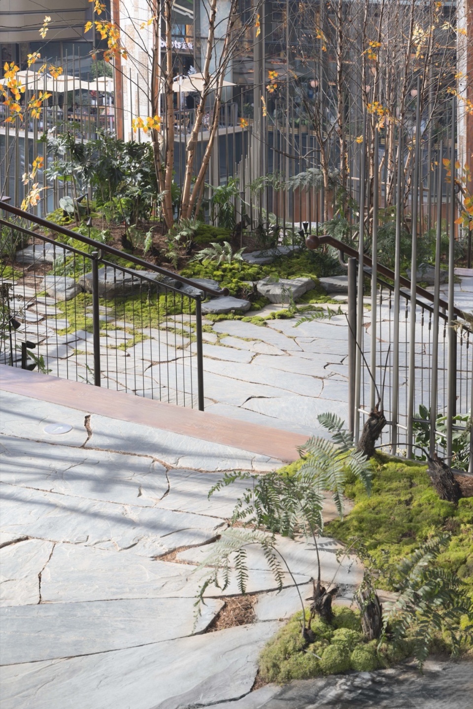 Xi an tree of the Mix city Xi an CR LAND by WTD GROUP