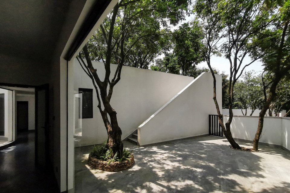 courtyard under longan trees by spacework architects