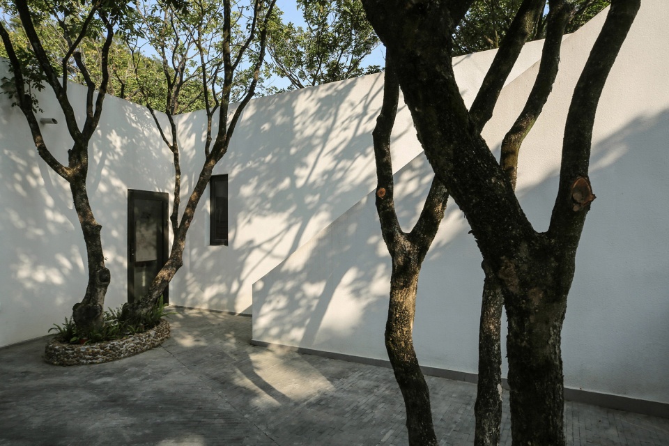 courtyard under longan trees by spacework architects