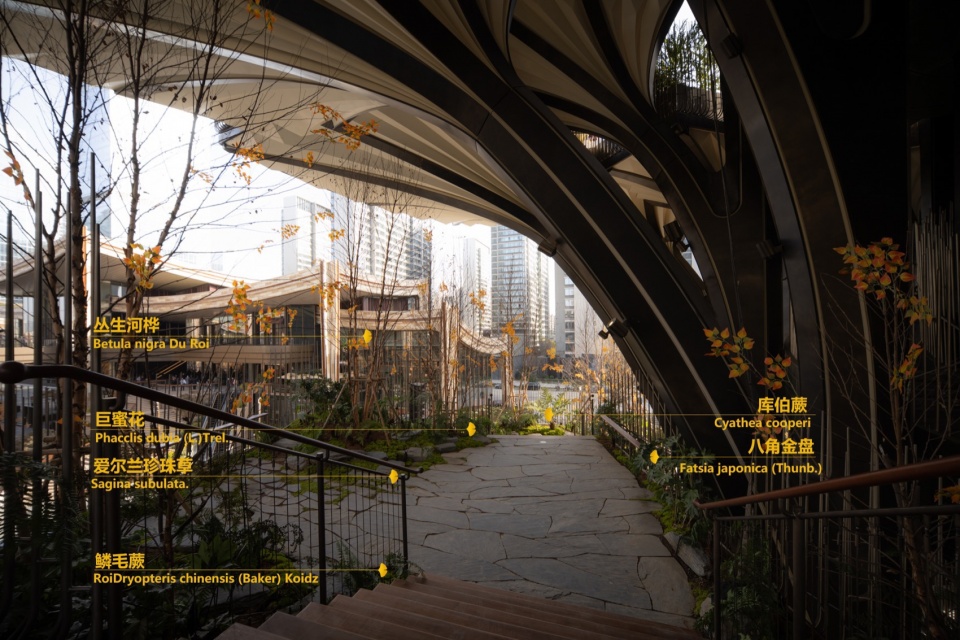 Xi an tree of the Mix city Xi an CR LAND by WTD GROUP