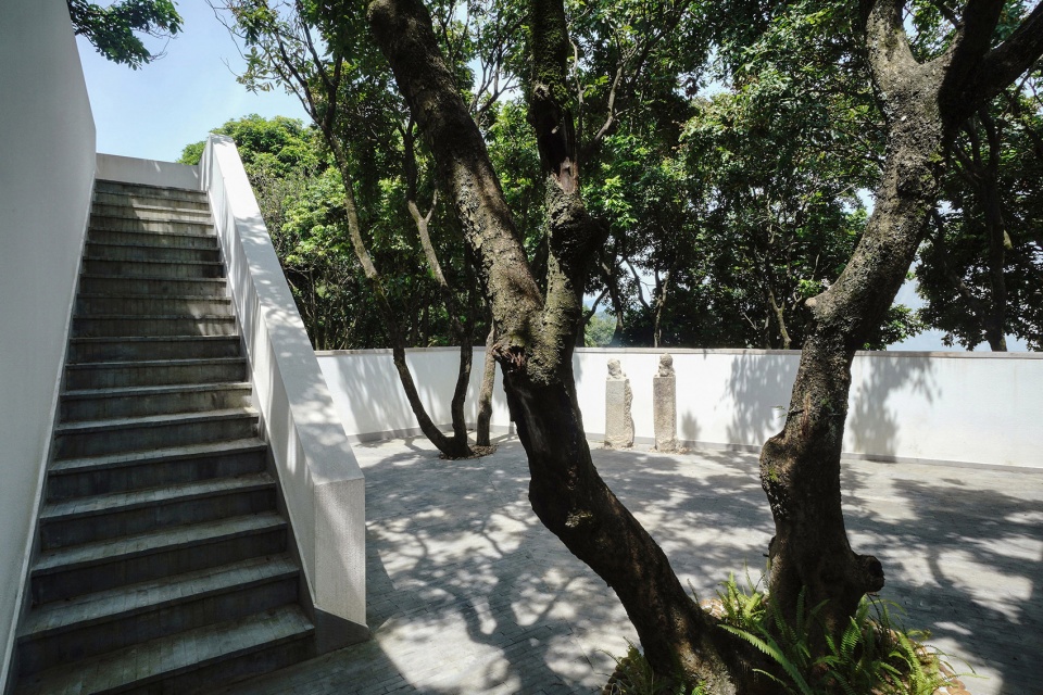 courtyard under longan trees by spacework architects