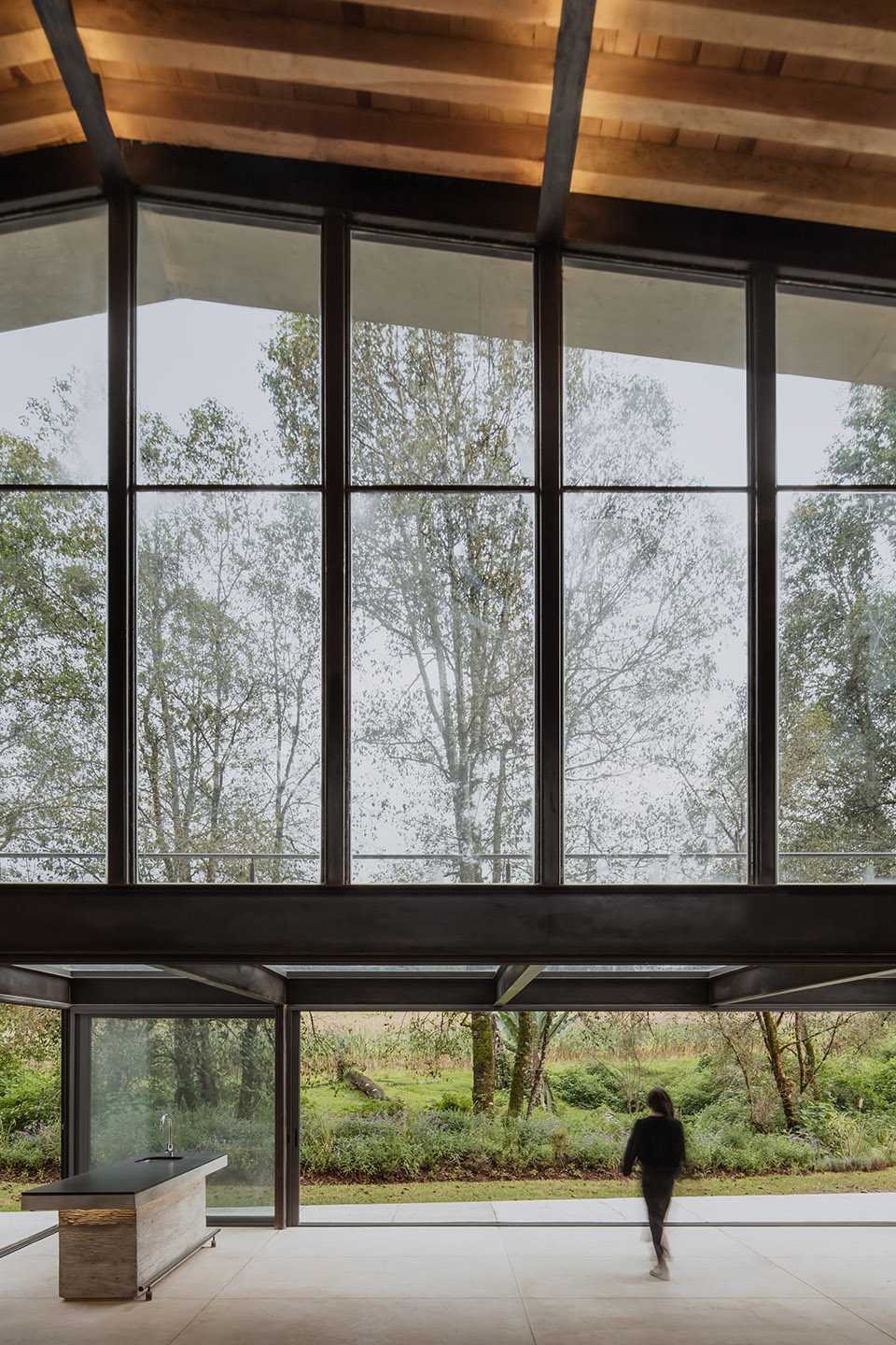 the house of the tall trees by 1i arquitectura
