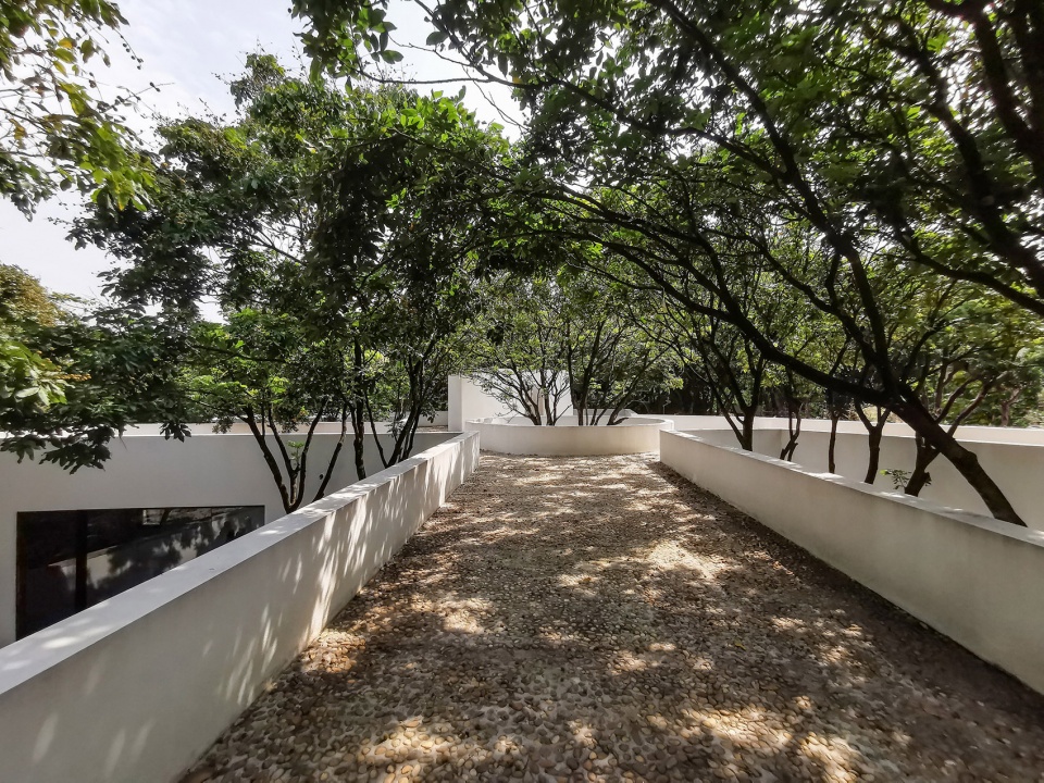 courtyard under longan trees by spacework architects