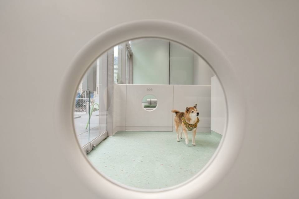 Hong Kong SAA Veterinary Centre by Karv One Design