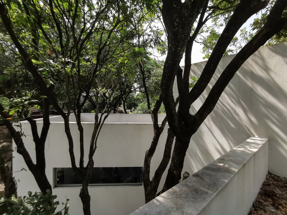 courtyard under longan trees by spacework architects