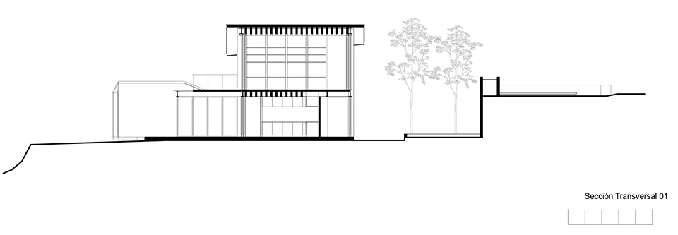 the house of the tall trees by 1i arquitectura